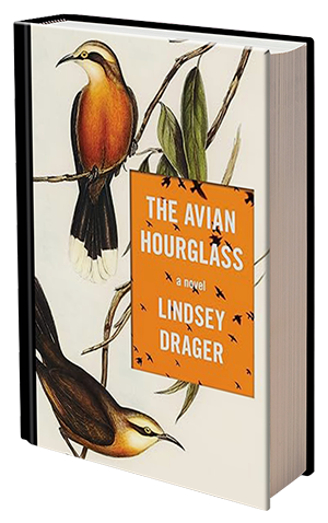 The Avian Hourglass by Lindsey Drager